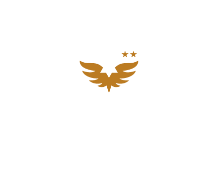 stf logo lockup stacked for black bg